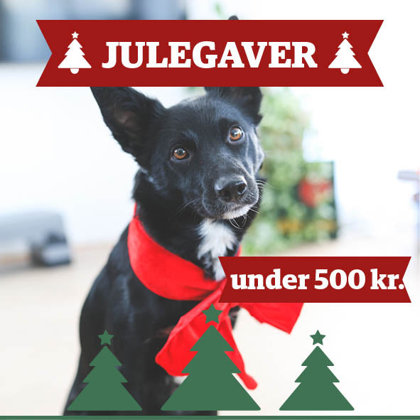 Julegaver under 500 kr.