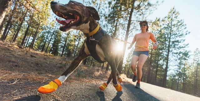 Ruffwear
