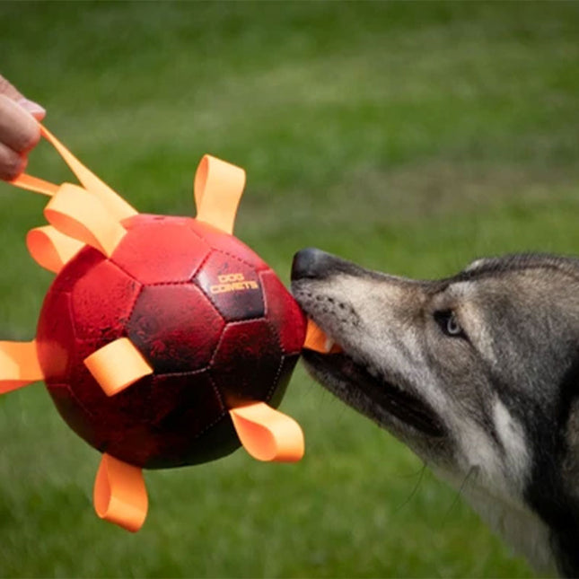 Dog Comets Hypernova bold