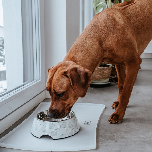 Flot skålunderlag i silikone fra Hunter