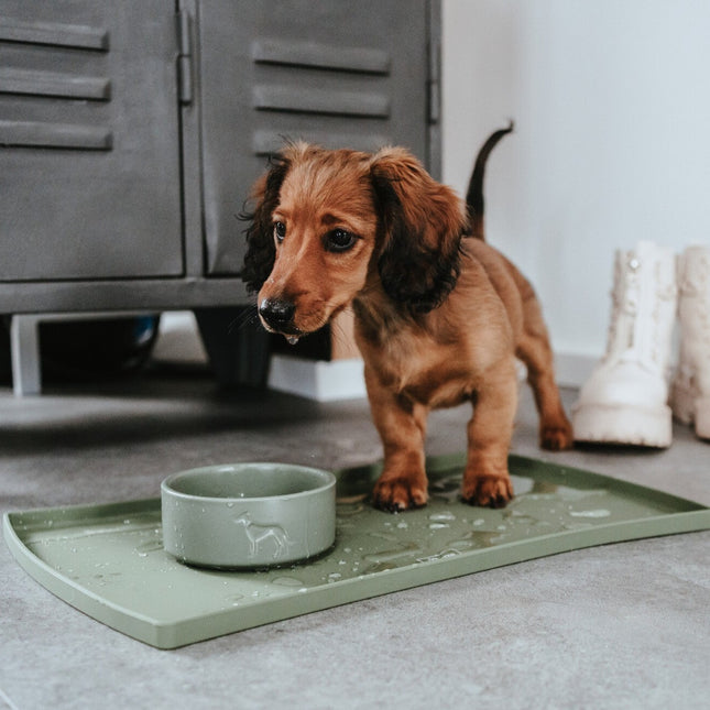 Hunter Osby Hundeskål i keramik | khaki