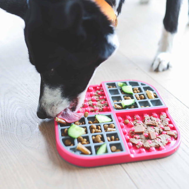 LickiMat Slomo aktivitetsmåtte