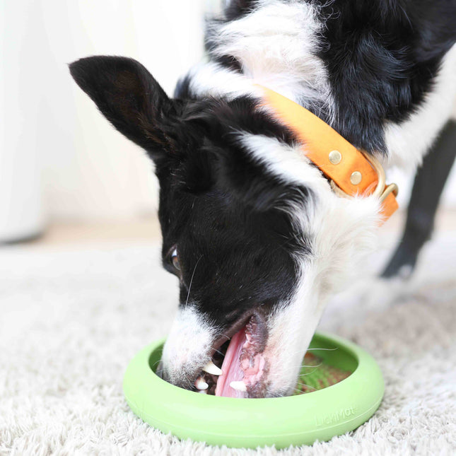 Lickimat aktivitetsskål, UFO | 4 fede farver