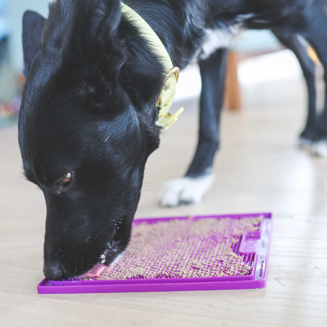 LickiMat Soother - aktivitetsmåtte