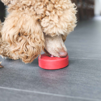 SodaPup aktiveringslegetøj ring