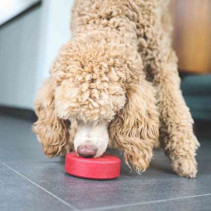 SodaPup aktiveringslegetøj ring