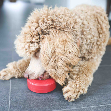 SodaPup aktiveringslegetøj ring