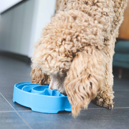 Sodapup slowfeeder bølger