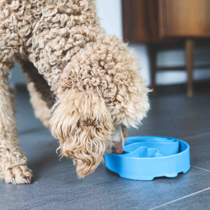 Sodapup slowfeeder bølger