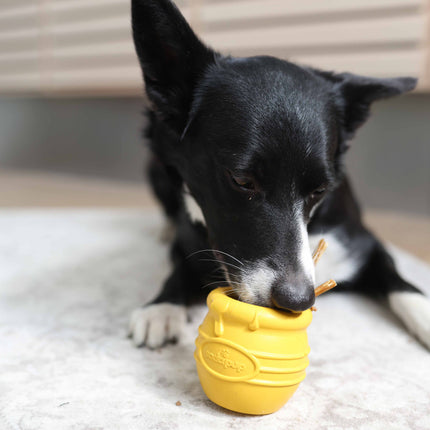 SodaPup Honeypot til aktivering | to størrelser