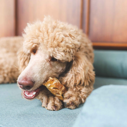 Superhund Oksepandelapper 250g.