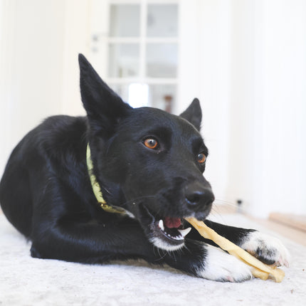 Superhund Lammegumlere 150g.