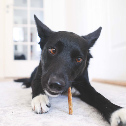 Superhund Oksesticks 150g.