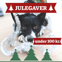 Julegaver under 100 kr.