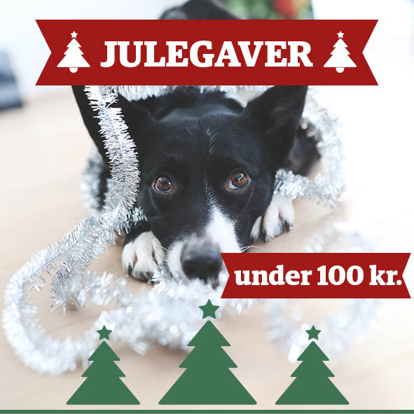 Julegaver under 100 kr.