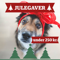 Julegaver under 250 kr.