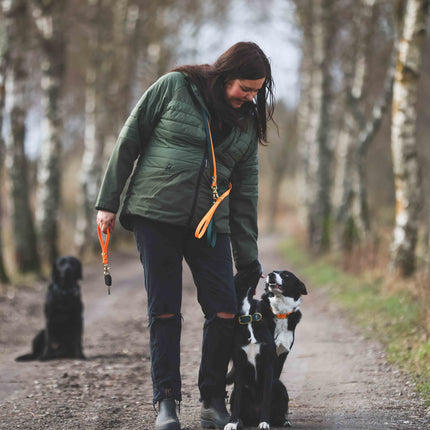 Hundesnor biothane - mintgrøn