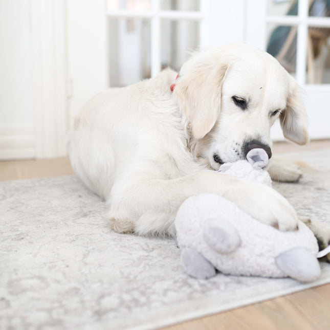 Bamse alpaka, Be Eco