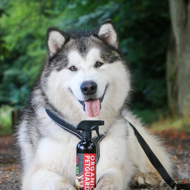 B&B Tick & Flea guard