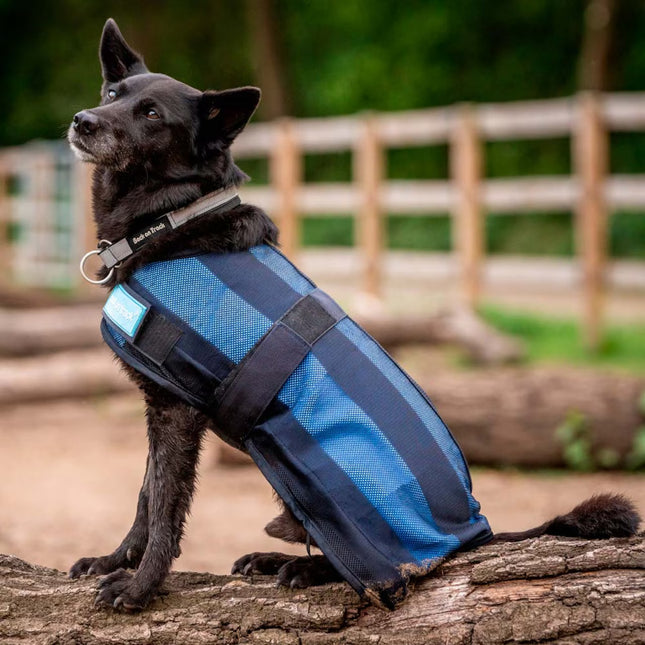 Køledækken Back on Track | Cool on Track