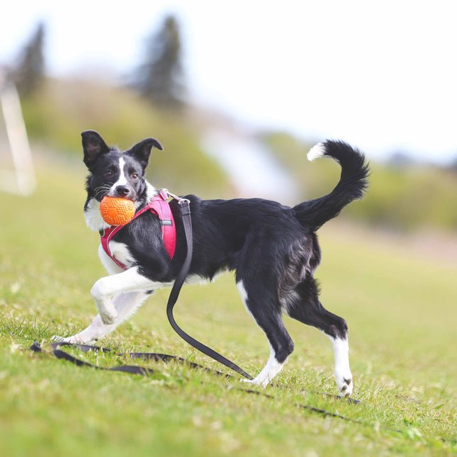 Bold i naturgummi m. piv, 7 cm.