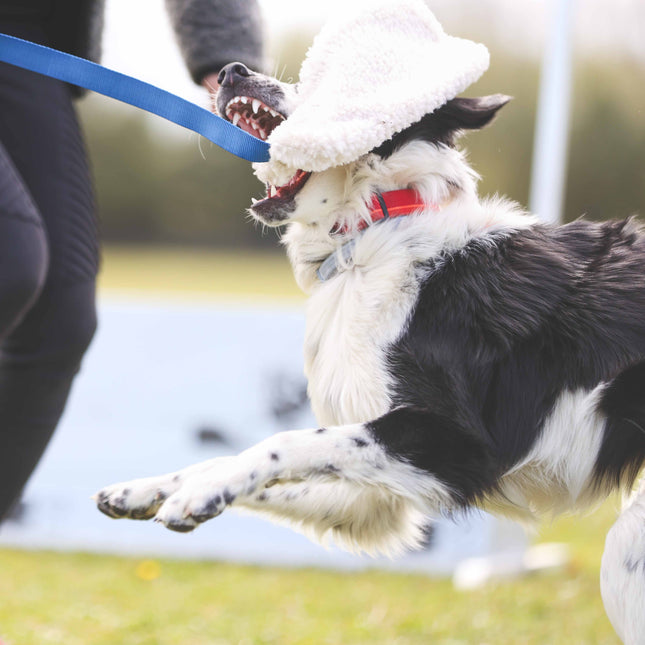 Coachi chase & crinkle legetøj