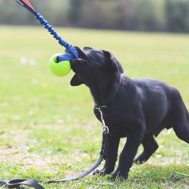 Coachi Tuggi Ball - bold på snor