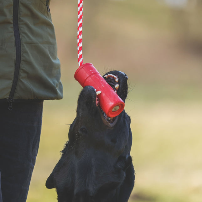 SodaPup - flydende dynamitstang på snor
