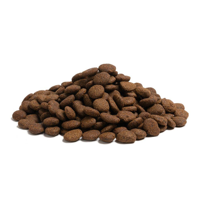 Essential The Beginning large breed