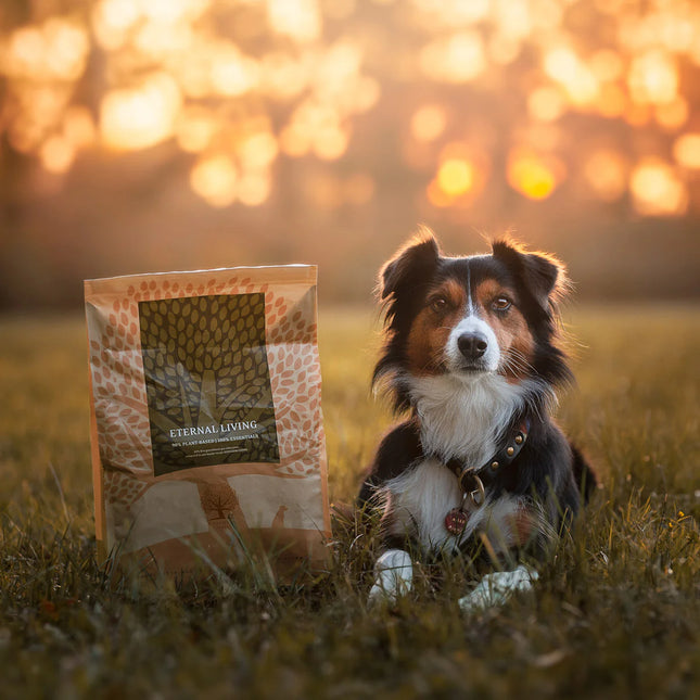 Essential Foods Eternal Living