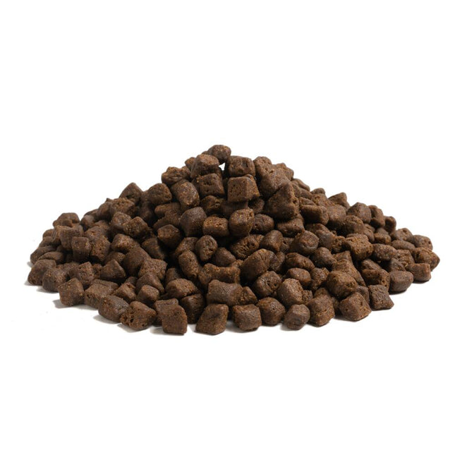 Essential The Beginning small breed