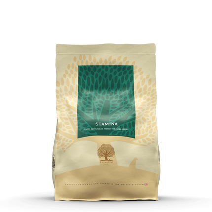 Essential Foods Stamina