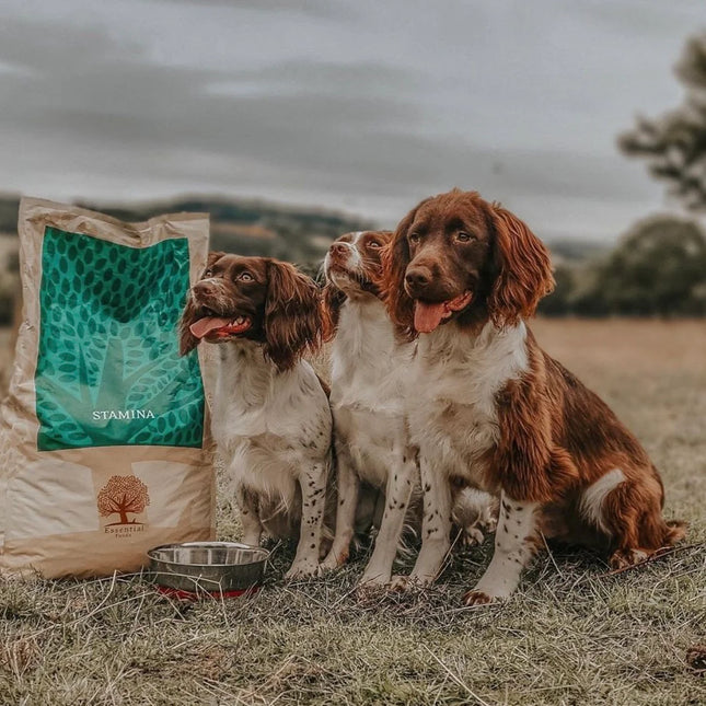 Essential Foods Stamina