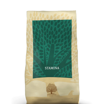 Essential Foods Stamina