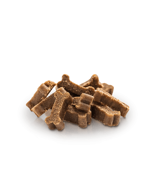 Essential Salmon Mini Delight | 100g.