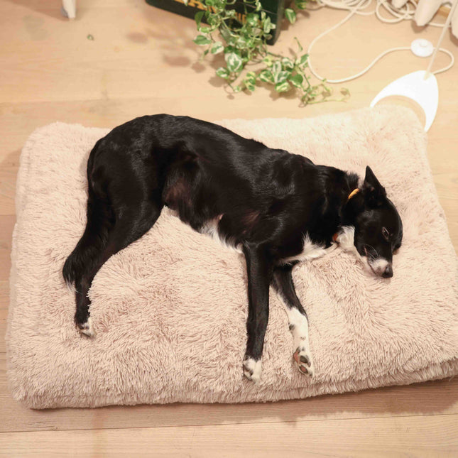 Fluffy hundepude lys grå