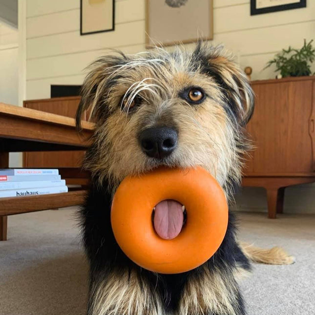 Goughnuts ring - orange