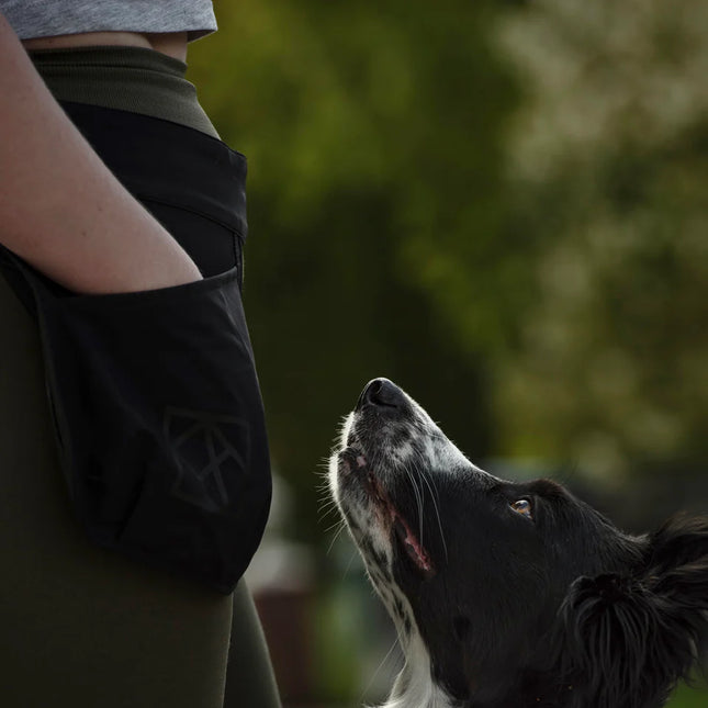 Hundlands belønningsbælte POCKY