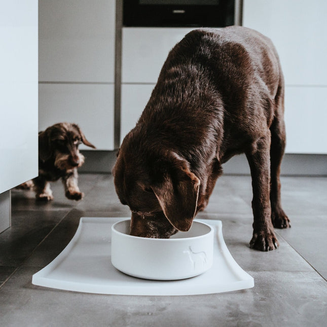 Hunter Osby Hundeskål i keramik | hvid