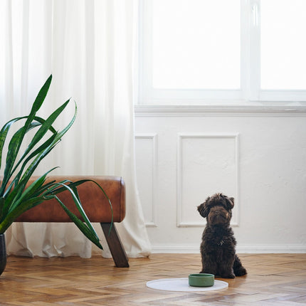 Hunter Osby Hundeskål i keramik | khaki