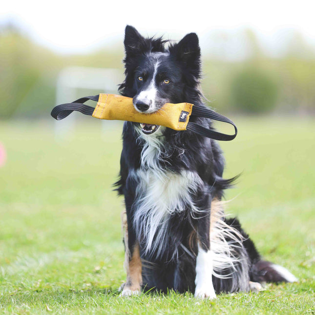 K9 Dummy i læder - 2 greb