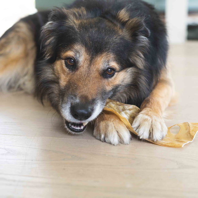 Hestehudsplade | fedtfattig