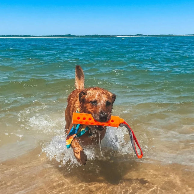 N-Gage bumper hydro | vandlegetøj