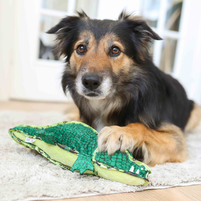 Outward Hound Alligator - ekstra holdbar