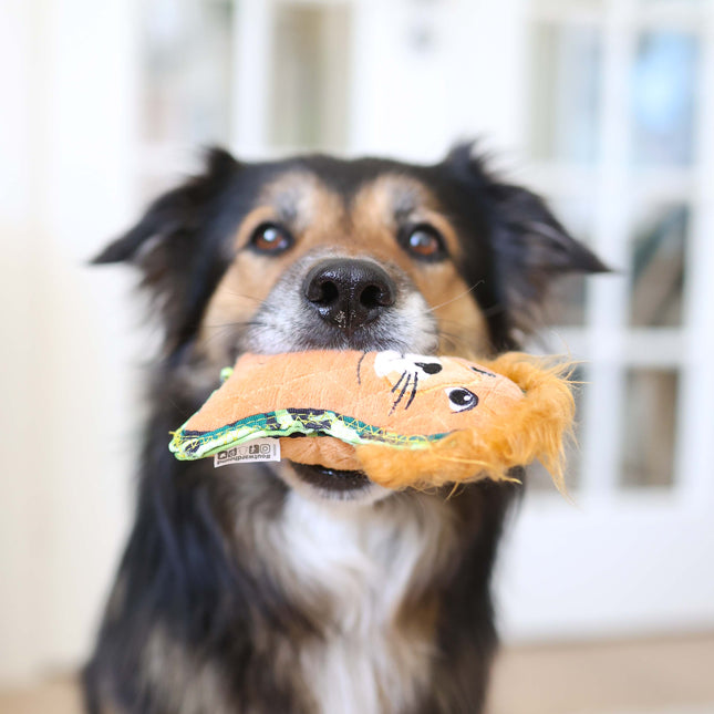 Outward Hound Lion - ekstra holdbar