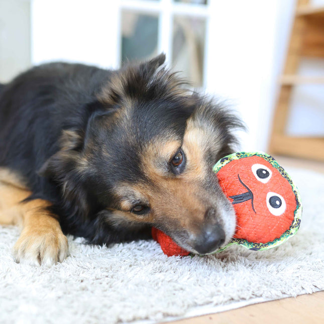 Outward Hound Snake - ekstra holdbar