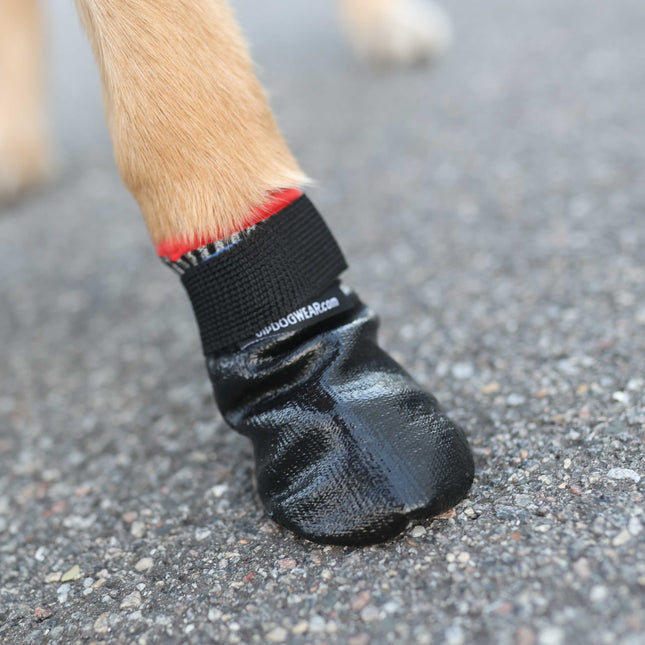 Verdens bedste hundesko - VIP MAX Protect