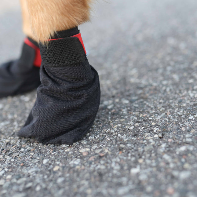 Verdens bedste hundesko - FINNMARK