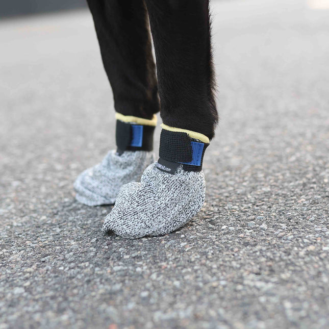 Verdens bedste hundesko - UNIVERSAL