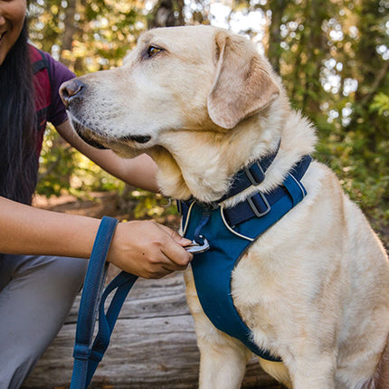 Ruffwear front range sele hibiscus pink